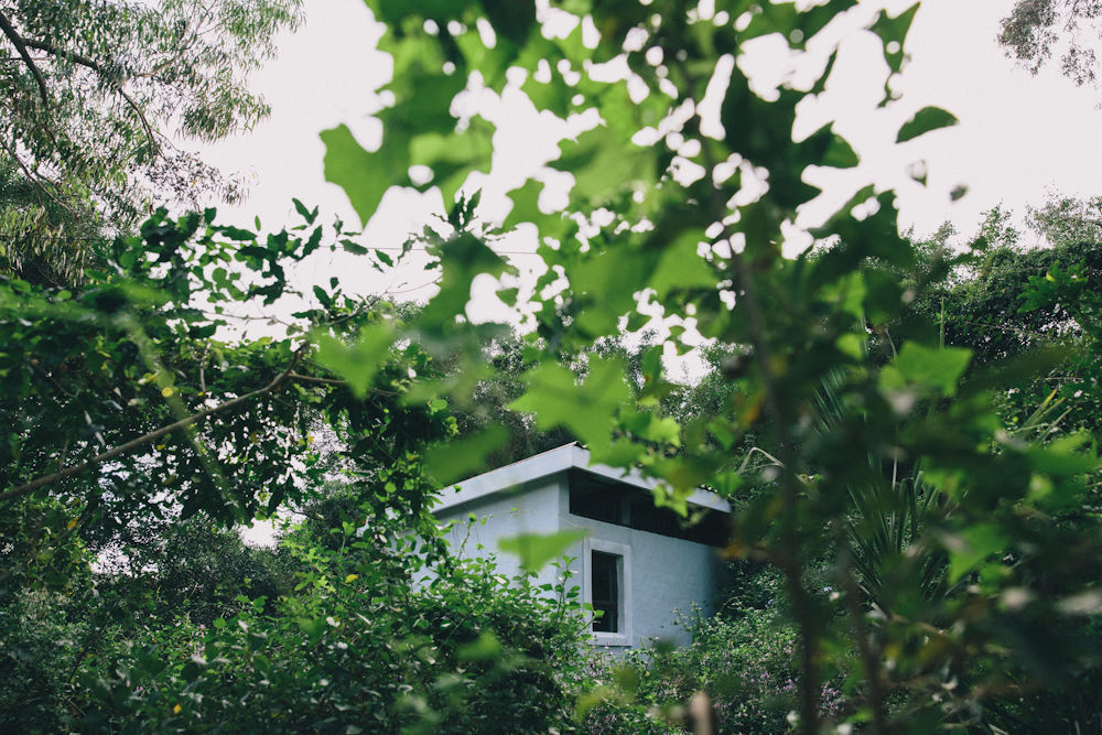 L'Auberge Country Hideaway Πορτ Ελίζαμπεθ Εξωτερικό φωτογραφία