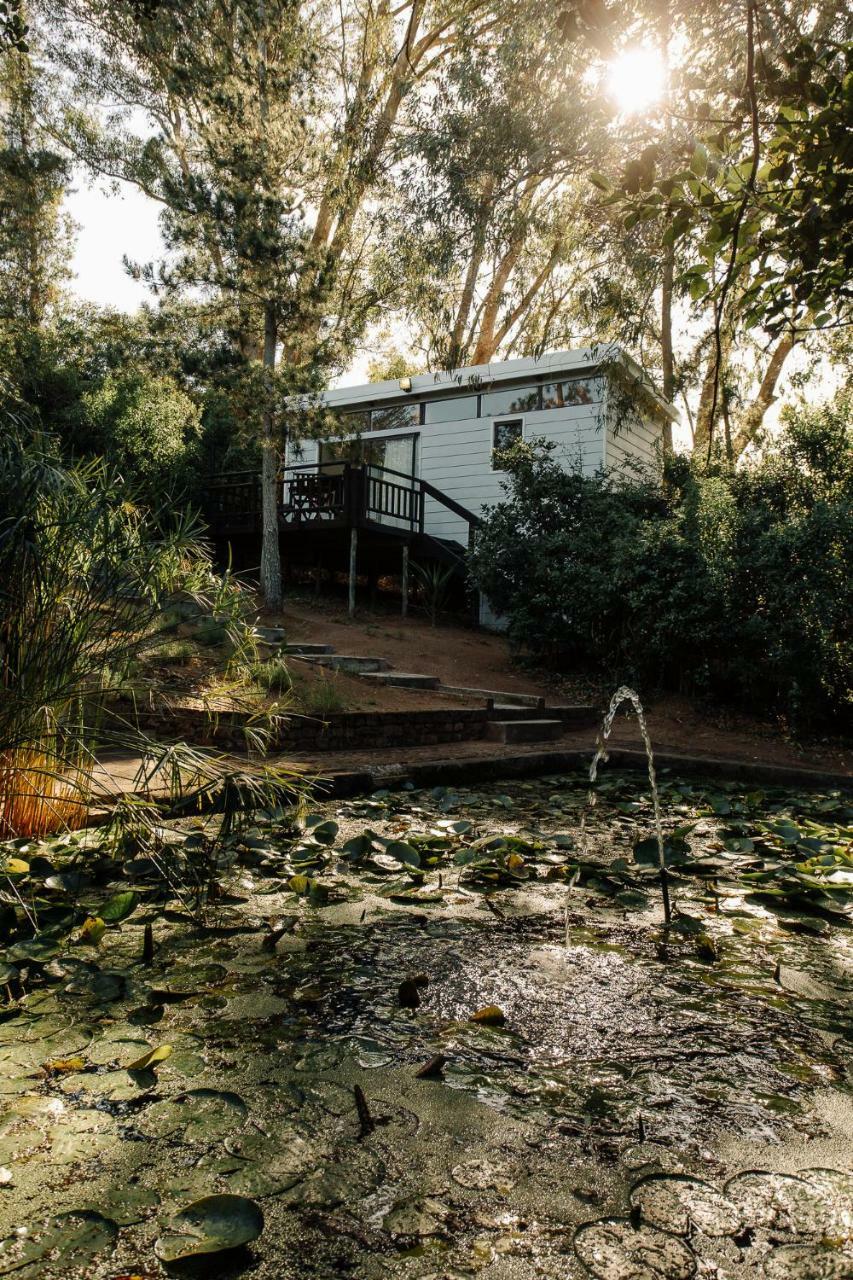 L'Auberge Country Hideaway Πορτ Ελίζαμπεθ Εξωτερικό φωτογραφία