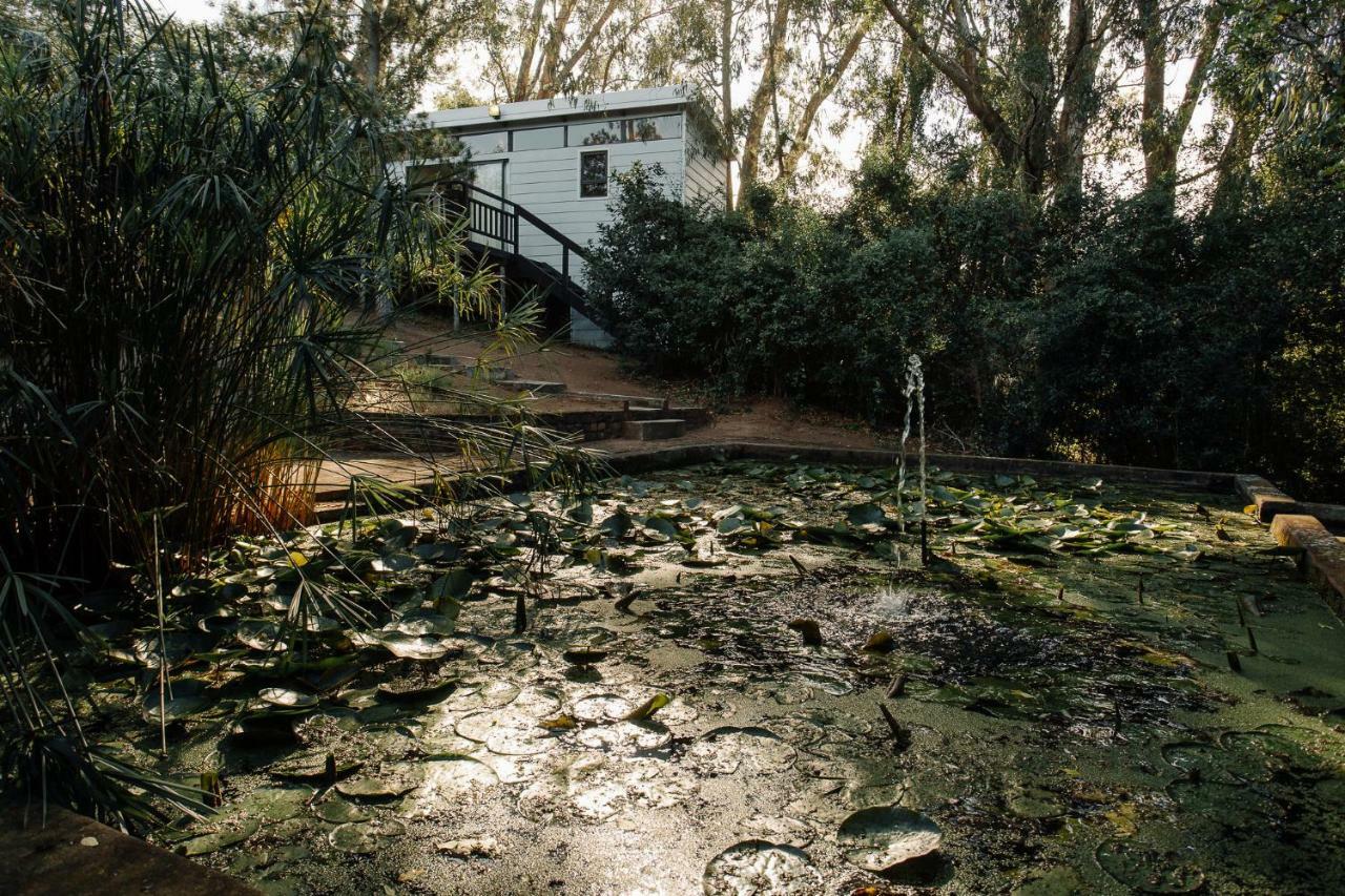 L'Auberge Country Hideaway Πορτ Ελίζαμπεθ Εξωτερικό φωτογραφία